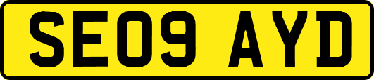 SE09AYD