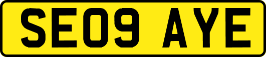 SE09AYE
