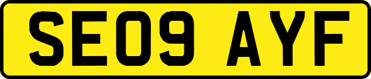 SE09AYF