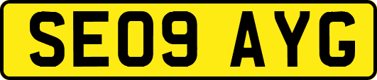 SE09AYG