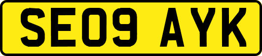 SE09AYK
