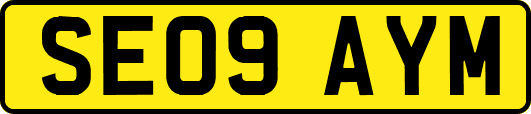 SE09AYM
