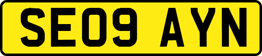 SE09AYN
