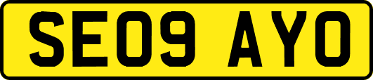 SE09AYO