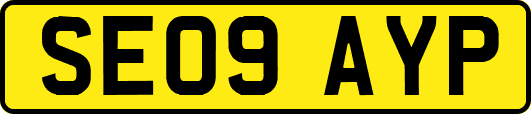 SE09AYP