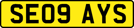 SE09AYS