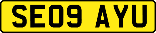 SE09AYU