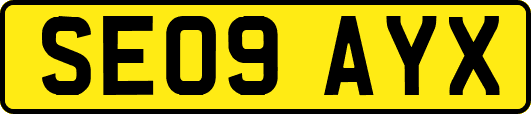 SE09AYX