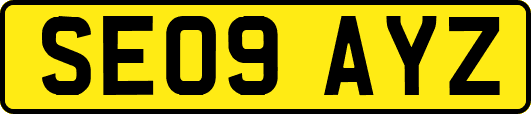 SE09AYZ
