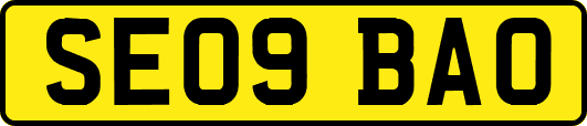 SE09BAO
