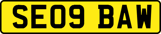 SE09BAW