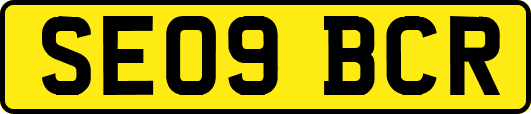 SE09BCR