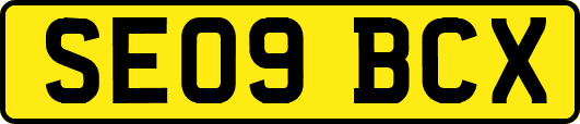 SE09BCX