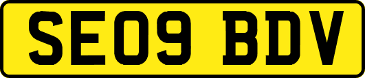 SE09BDV