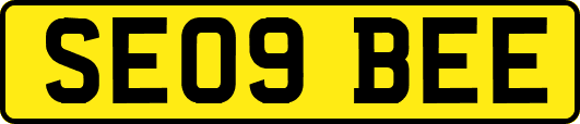 SE09BEE