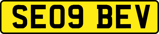 SE09BEV