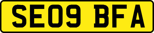SE09BFA