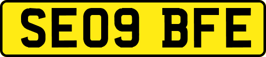 SE09BFE
