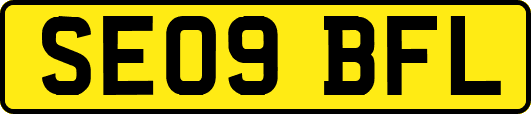 SE09BFL