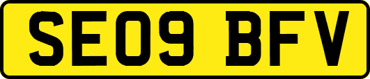SE09BFV