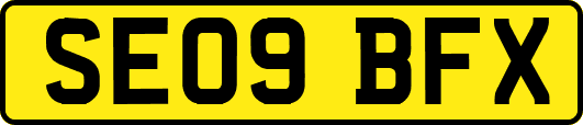 SE09BFX