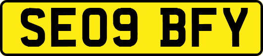 SE09BFY