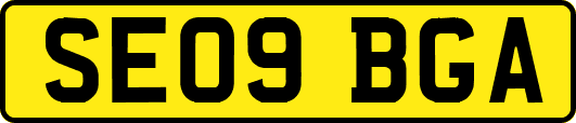 SE09BGA