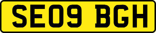 SE09BGH