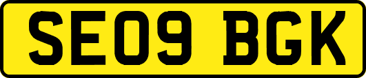 SE09BGK