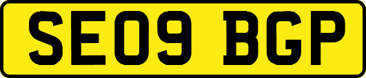 SE09BGP