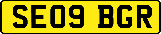 SE09BGR