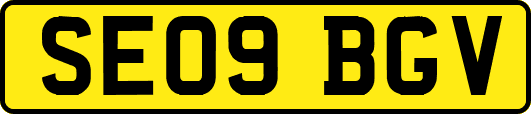 SE09BGV