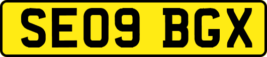 SE09BGX