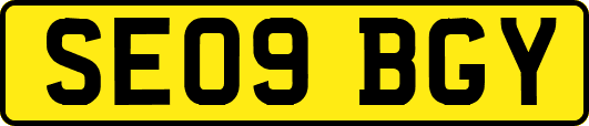 SE09BGY