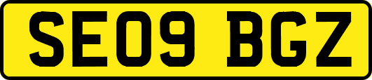 SE09BGZ
