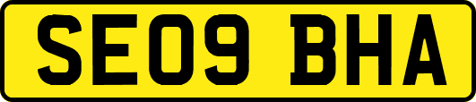 SE09BHA