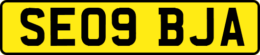 SE09BJA