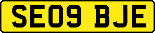 SE09BJE