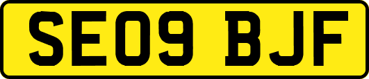 SE09BJF