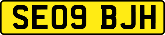 SE09BJH