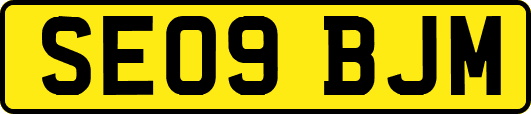 SE09BJM