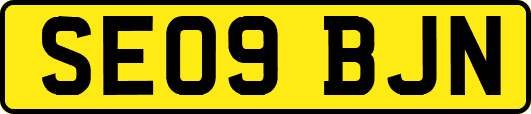 SE09BJN