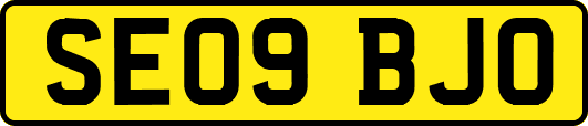 SE09BJO