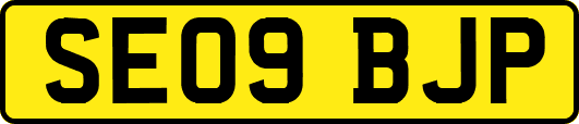 SE09BJP
