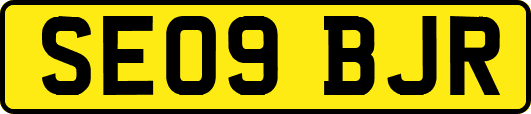 SE09BJR