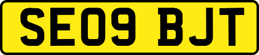 SE09BJT