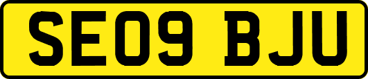 SE09BJU