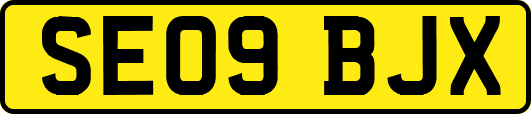 SE09BJX