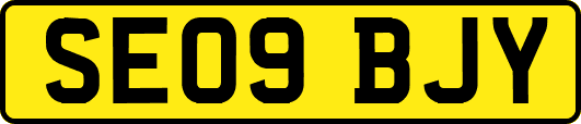 SE09BJY