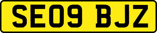 SE09BJZ